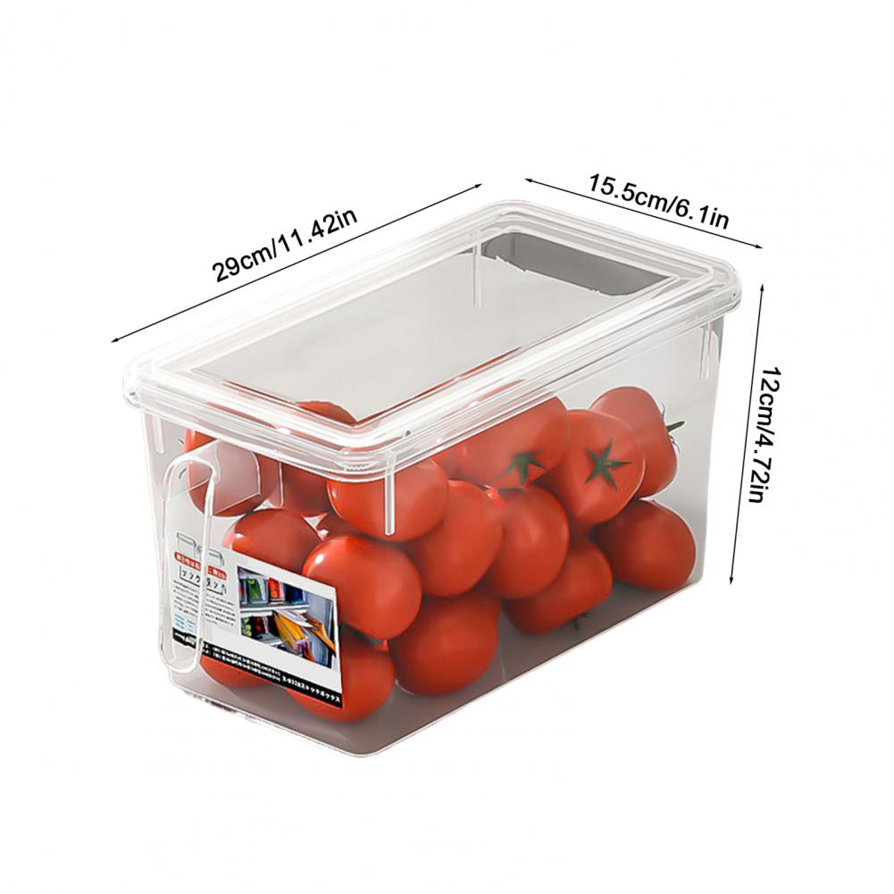 Clear Refrigerator Storage Bin - Meal Prep Veggie review and price
