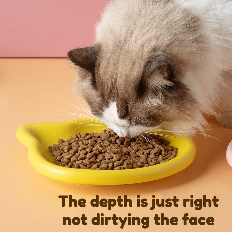 4-Color Pet Bowl Cat Food Dish - Meal Preparation review and price